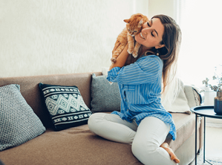 chat et maître